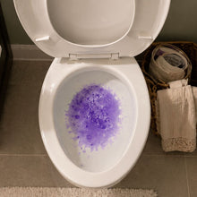 Carica l'immagine nel visualizzatore di Gallery, ReinWerk – l'originale per una pulizia accurata di tubi e WC