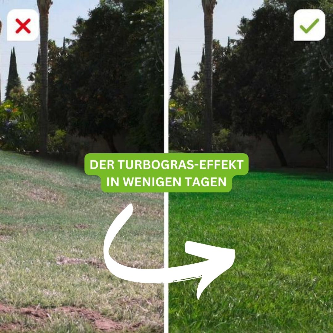 Turbogras - per un prato sano e a crescita rapida, inclusivo di eBook gratuito sulla cura sostenibile del giardino