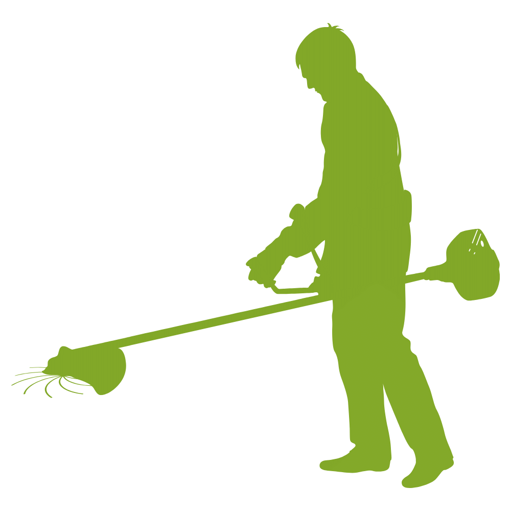 Alt image